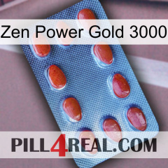 Zen Power Gold 3000 06